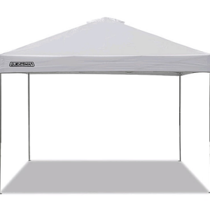 10x10 Canopy